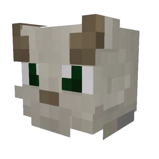 RandomHuman10 Minecraft avatar head, 3D render