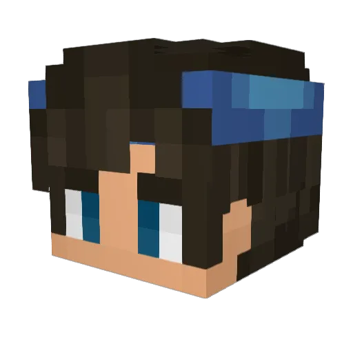 RandomJedi Minecraft avatar head, 3D render