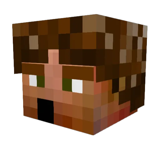RandomKingT Minecraft avatar head, 3D render