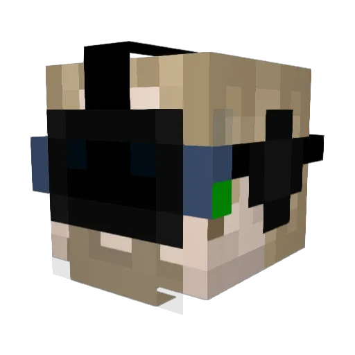RandomLag Minecraft avatar head, 3D render