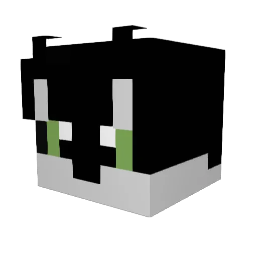 RandomLuckk Minecraft avatar head, 3D render