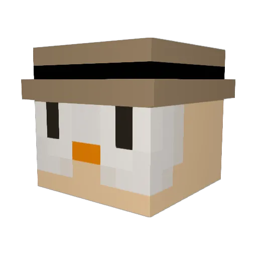 RandomNameHere01 Minecraft avatar head, 3D render