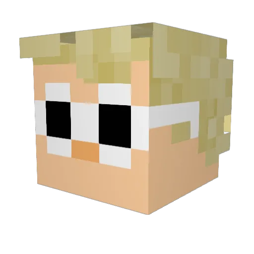 RandomNess465 Minecraft avatar head, 3D render