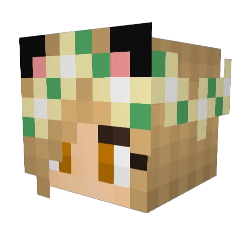 RandomNinja132 Minecraft avatar head, 3D render