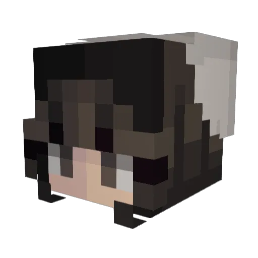 RandomPanda67 Minecraft avatar head, 3D render