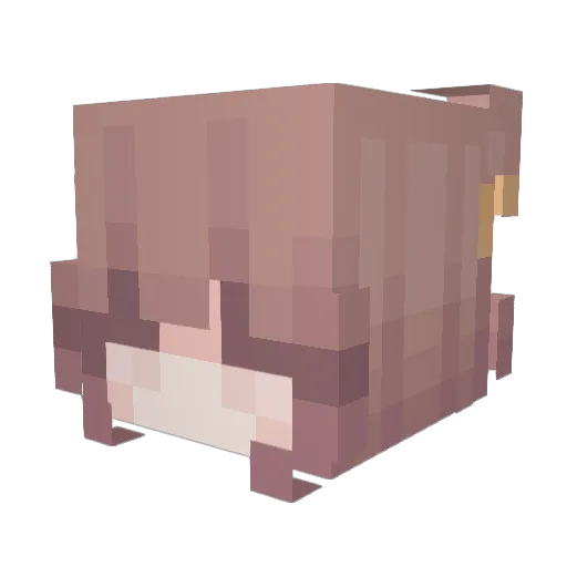 RandomPerson0313 Minecraft avatar head, 3D render