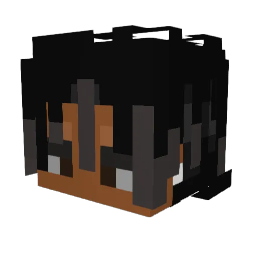 RandomPickleGuy Minecraft avatar head, 3D render