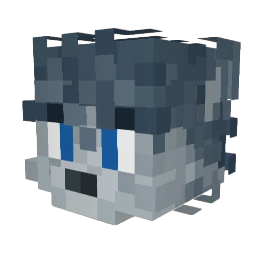 RandomRules Minecraft avatar head, 3D render
