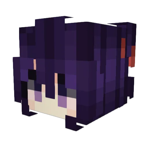 RandomSoSo Minecraft avatar head, 3D render