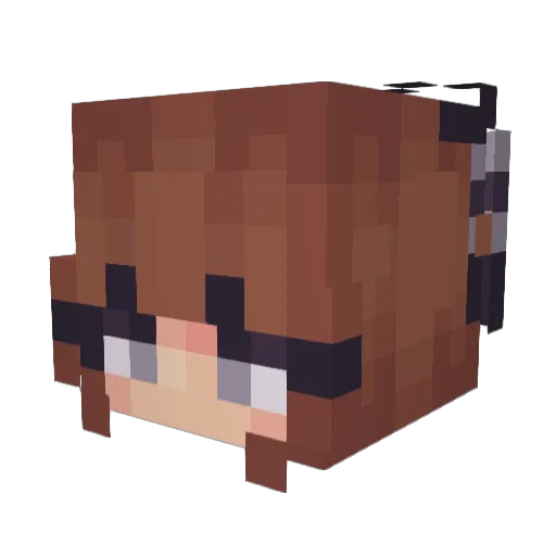 RandomSomeone Minecraft avatar head, 3D render