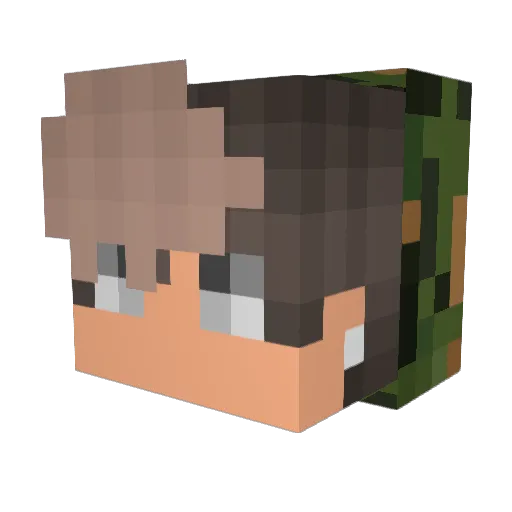 RandomStanii Minecraft avatar head, 3D render