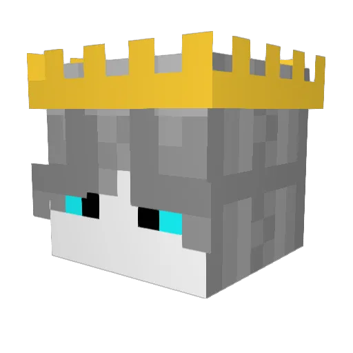 RandomStone5995 Minecraft avatar head, 3D render