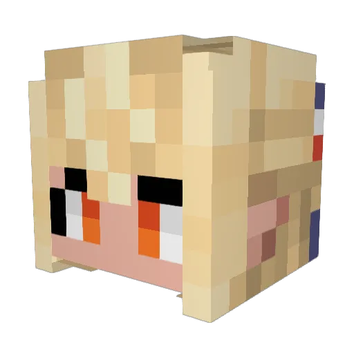 RandomStuffNerd Minecraft avatar head, 3D render
