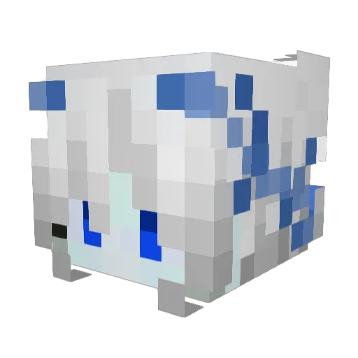RandomWeeb872 Minecraft avatar head, 3D render