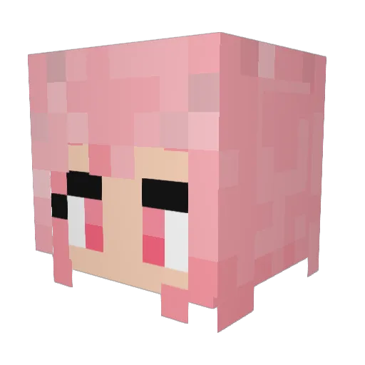 RandomWey Minecraft avatar head, 3D render