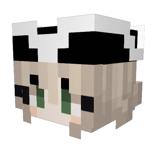 RandomZaorek Minecraft avatar head, 3D render