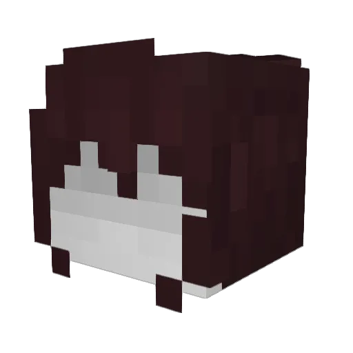 RandomZer0 Minecraft avatar head, 3D render