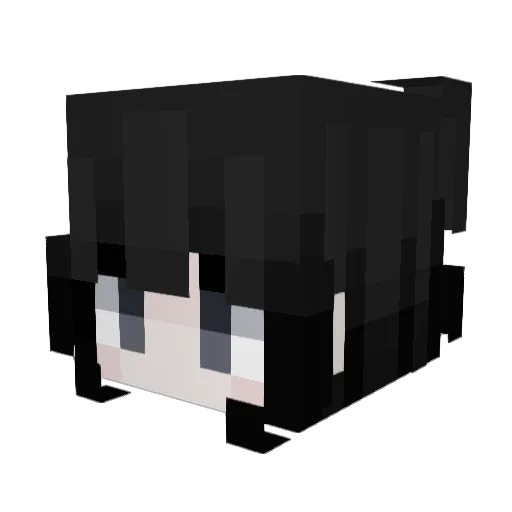 Random_0person0 Minecraft avatar head, 3D render