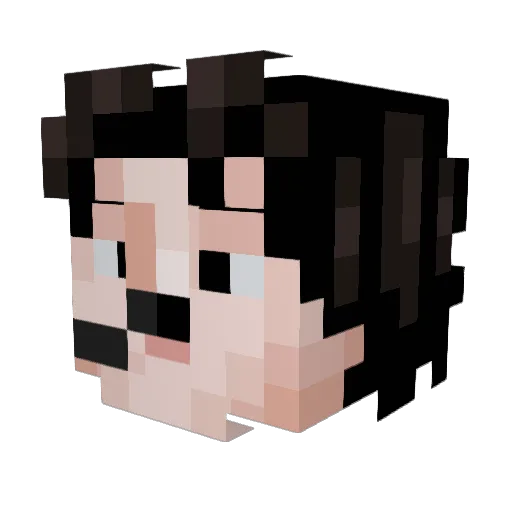 Random_9_ Minecraft avatar head, 3D render