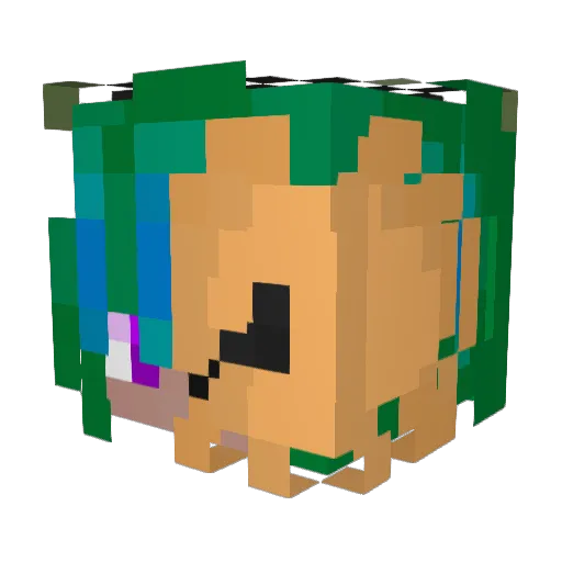 Random_Rodent Minecraft avatar head, 3D render