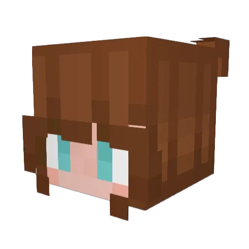 Random_Storm Minecraft avatar head, 3D render
