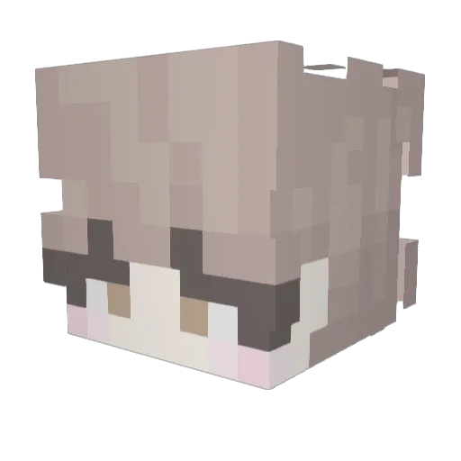 Random_Tail Minecraft avatar head, 3D render