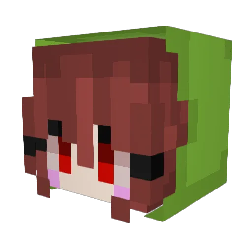 Random_fans Minecraft avatar head, 3D render