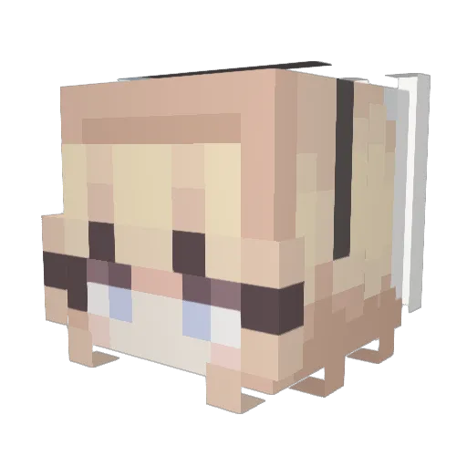 Random_lane Minecraft avatar head, 3D render