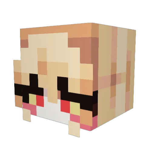 Randomcoolguy123 Minecraft avatar head, 3D render