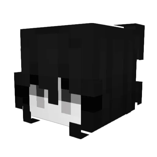 Randomdogwater Minecraft avatar head, 3D render