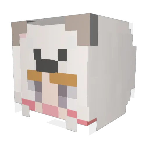 Randomfox1234 Minecraft avatar head, 3D render