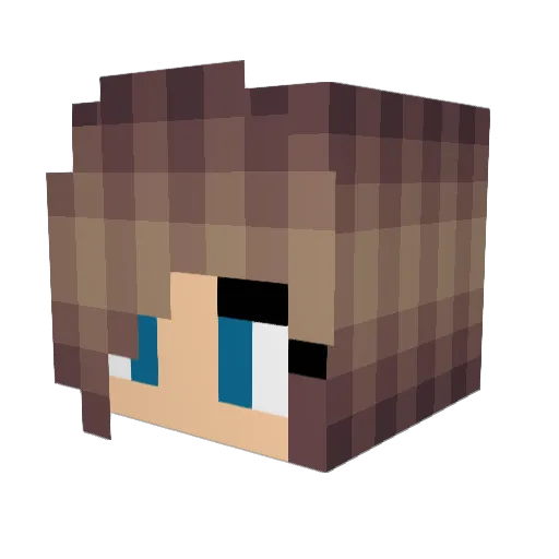 Randomgirl2560 Minecraft avatar head, 3D render