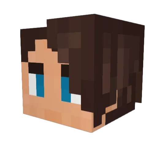 Randomguy0011 Minecraft avatar head, 3D render