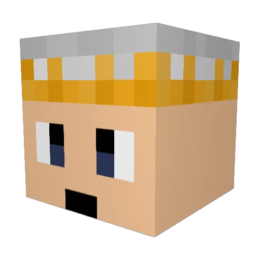 Randomguy12_ Minecraft avatar head, 3D render