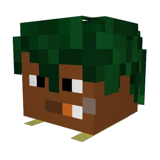 Randomiz24 Minecraft avatar head, 3D render