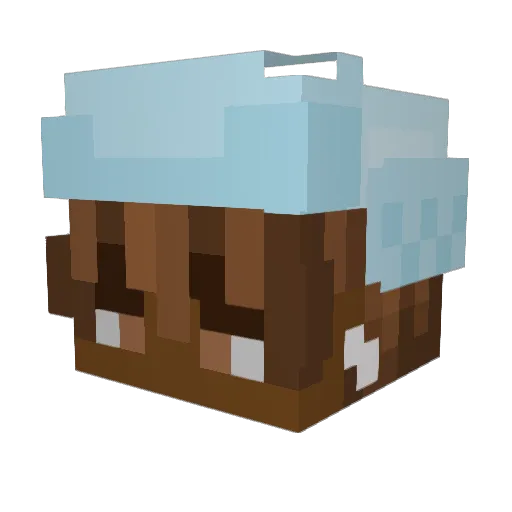 Randomjafiboy86 Minecraft avatar head, 3D render