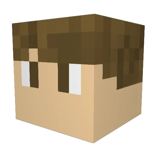 Randomkid919 Minecraft avatar head, 3D render