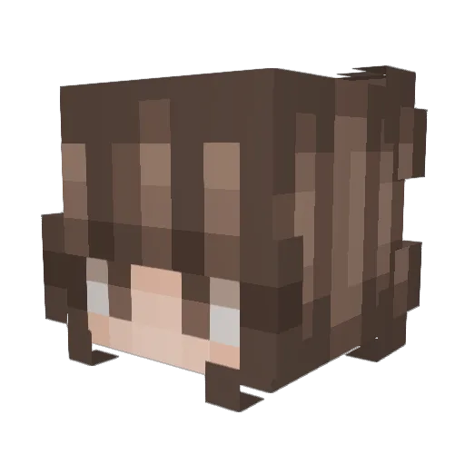 Randomlessnes Minecraft avatar head, 3D render