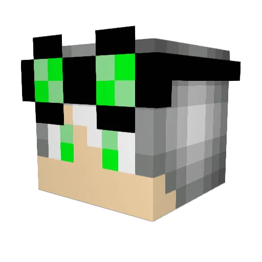 Randomletters261 Minecraft avatar head, 3D render