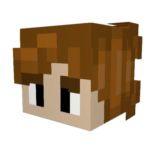 RandomlyMeh Minecraft avatar head, 3D render