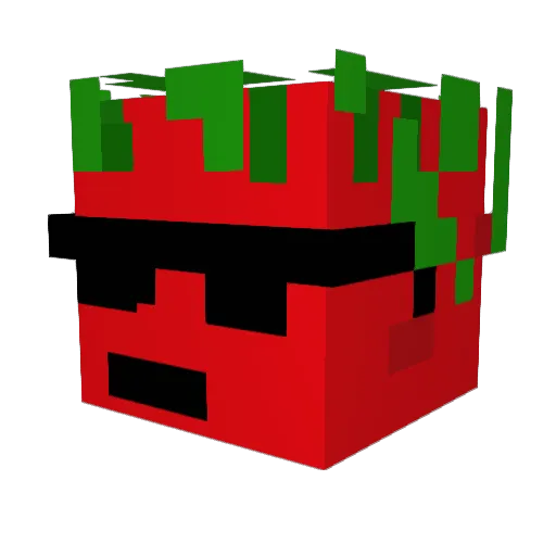 Randomtomatoman Minecraft avatar head, 3D render