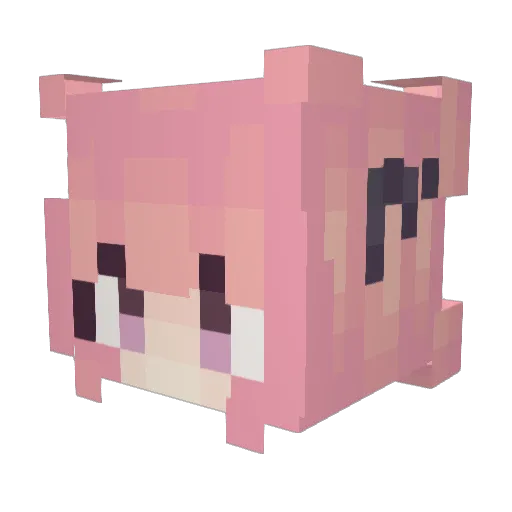 RandomzPro Minecraft avatar head, 3D render