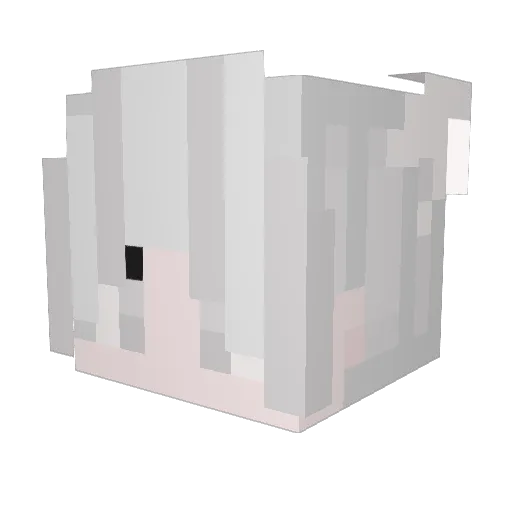 Randono Minecraft avatar head, 3D render