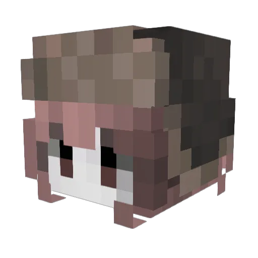 Randoomm Minecraft avatar head, 3D render