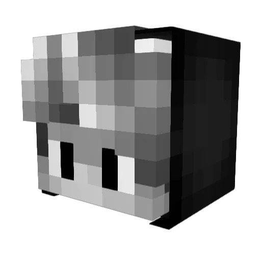 Randor_Gamer Minecraft avatar head, 3D render