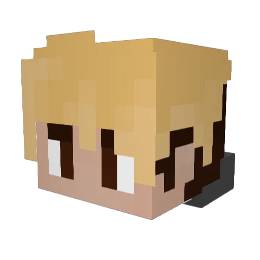 Randoveta Minecraft avatar head, 3D render