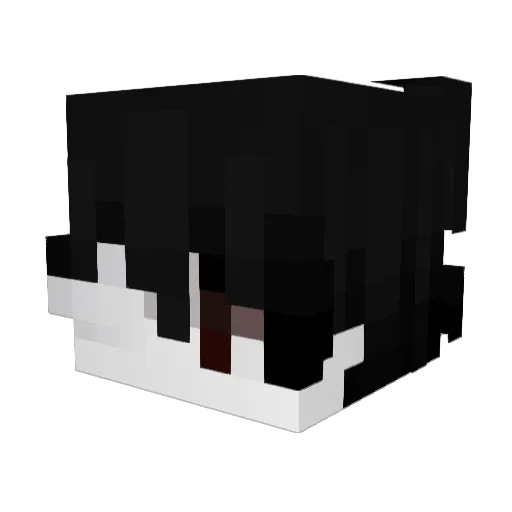 RandyBilekk Minecraft avatar head, 3D render