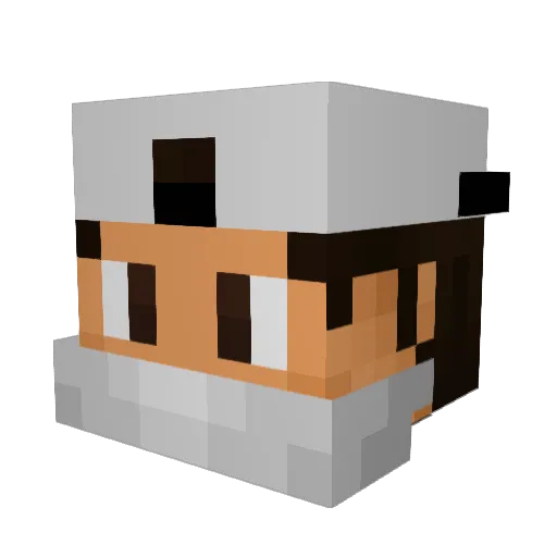 RandyJMD Minecraft avatar head, 3D render
