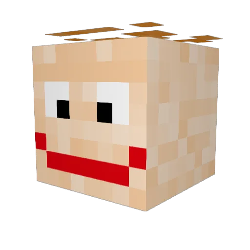 RandyPoostain Minecraft avatar head, 3D render