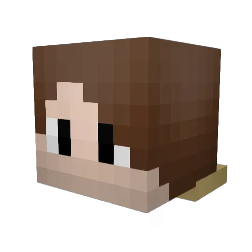 RandyPuffin Minecraft avatar head, 3D render